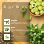 Bhringaraj Hair Oil - 20+ Natural Ingredients for Hair Growth | AYUTY