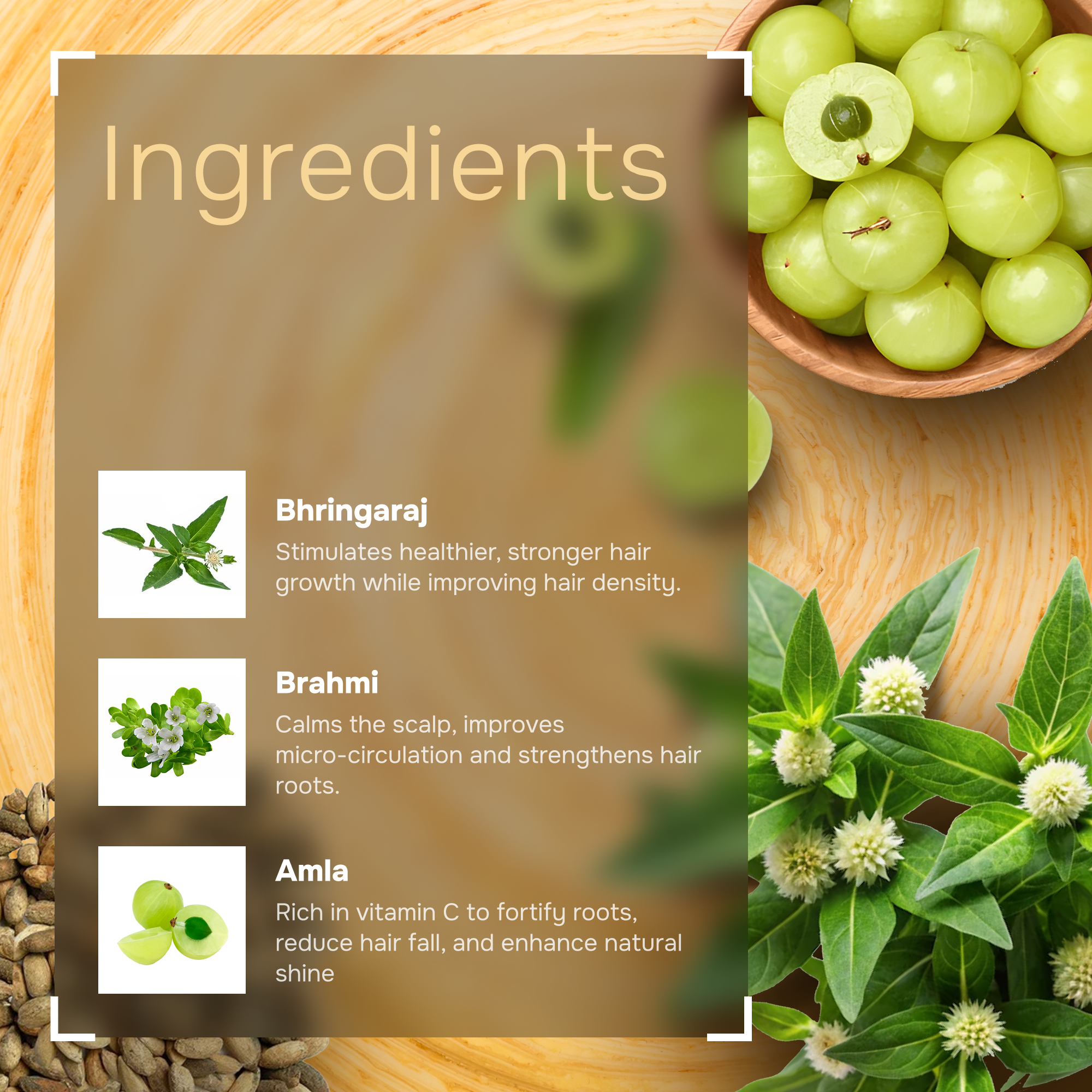 Bhringaraj Hair Oil - 20+ Natural Ingredients for Hair Growth | AYUTY